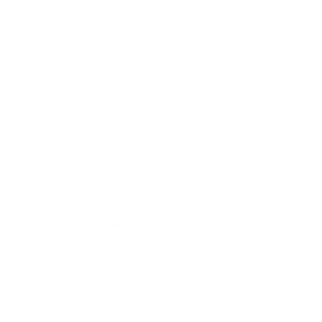 Spot Optik